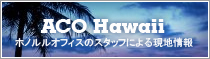 ACO Hawaii@zmItBX̃X^btɂ錻n